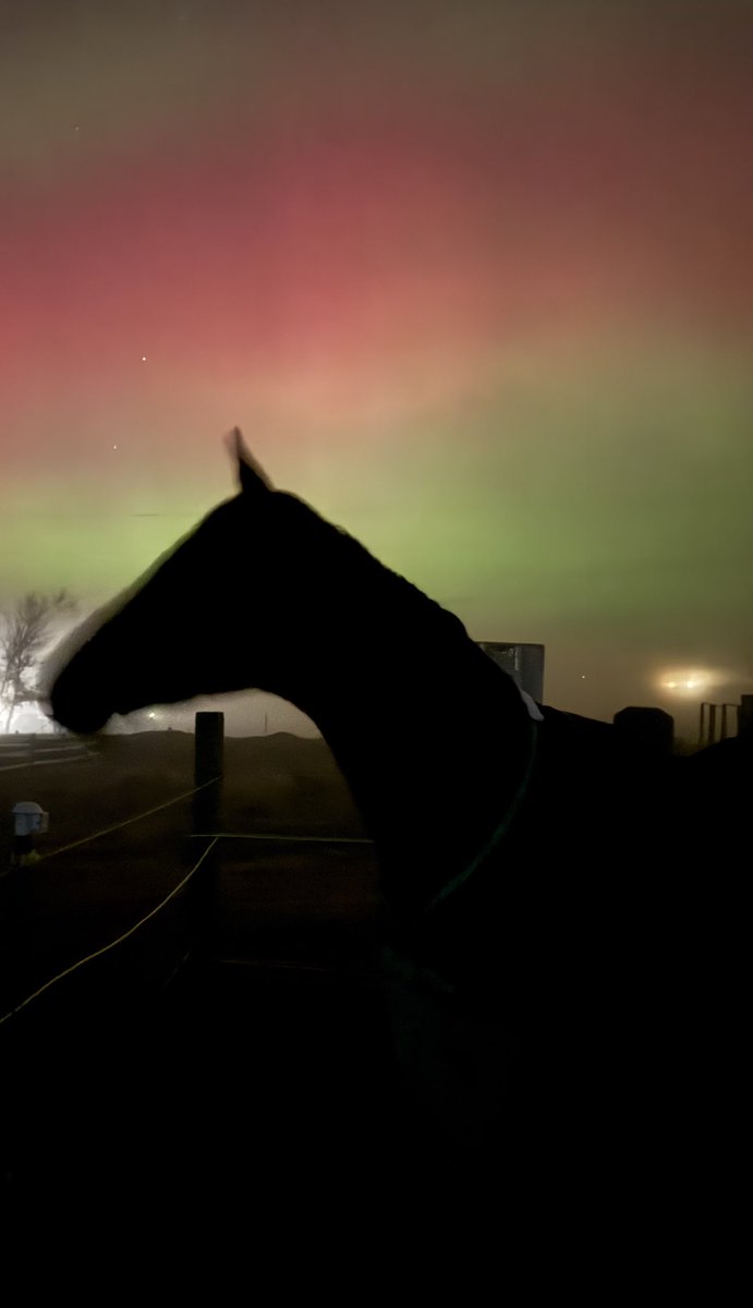 Sara 🌺 tweet media