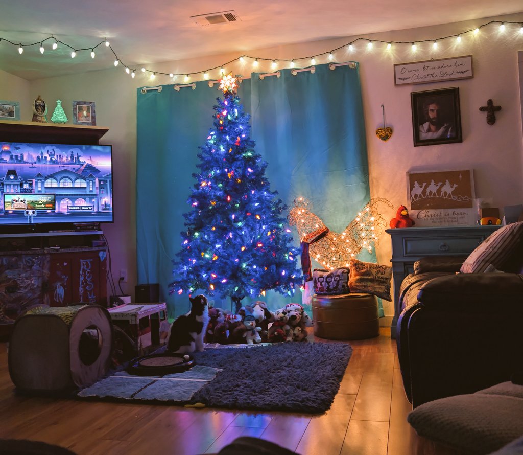 #Auroraborealis &amp; #Christmas lights!! 🎄🥹 Thank You God! 🙌 #grateful