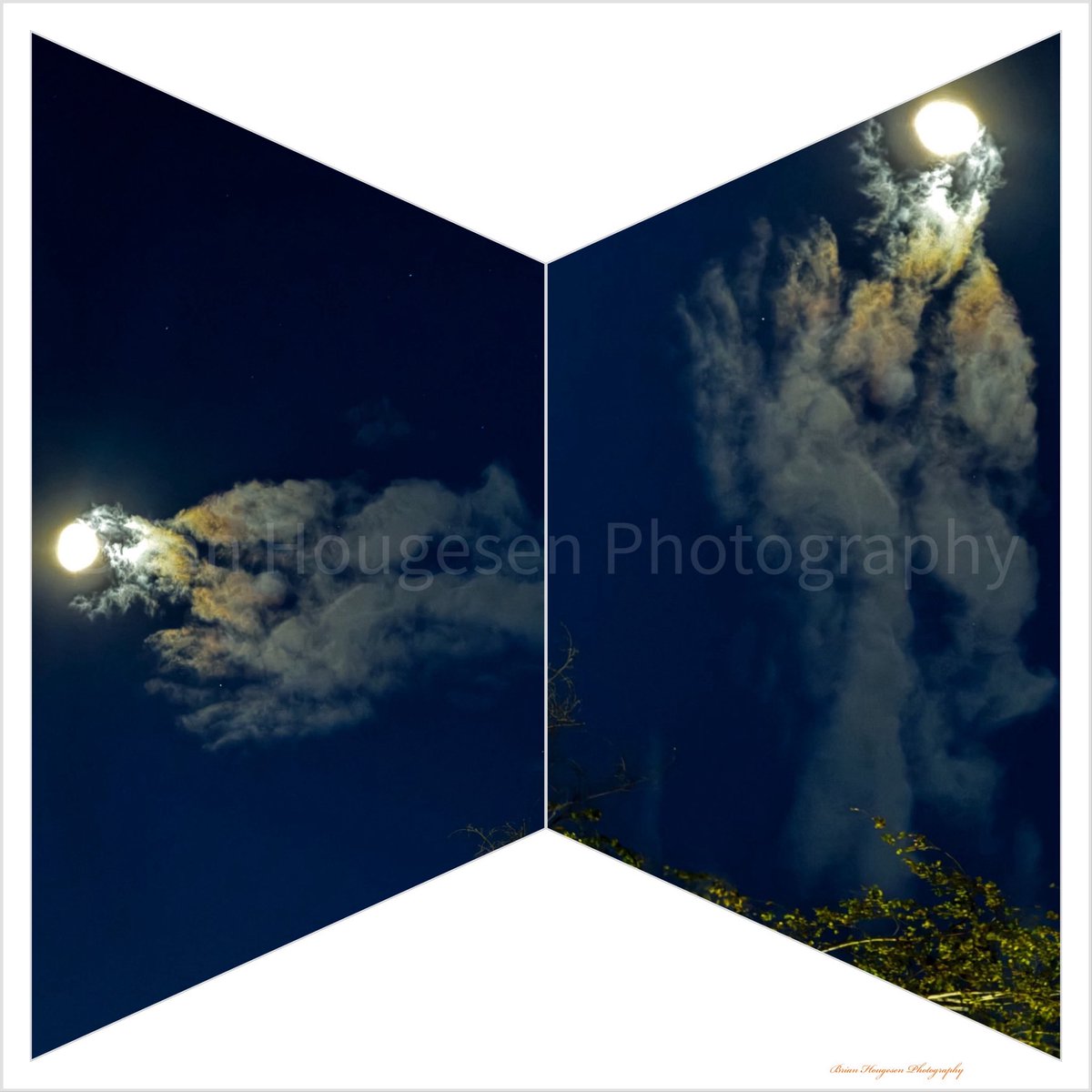 briHouges's tweet image. Same photo different angles