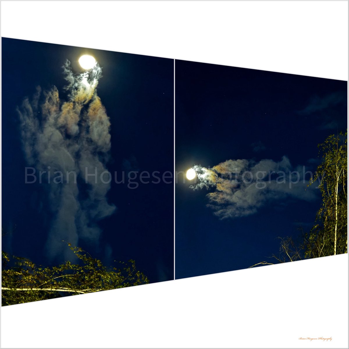 briHouges's tweet image. Same photo different angles