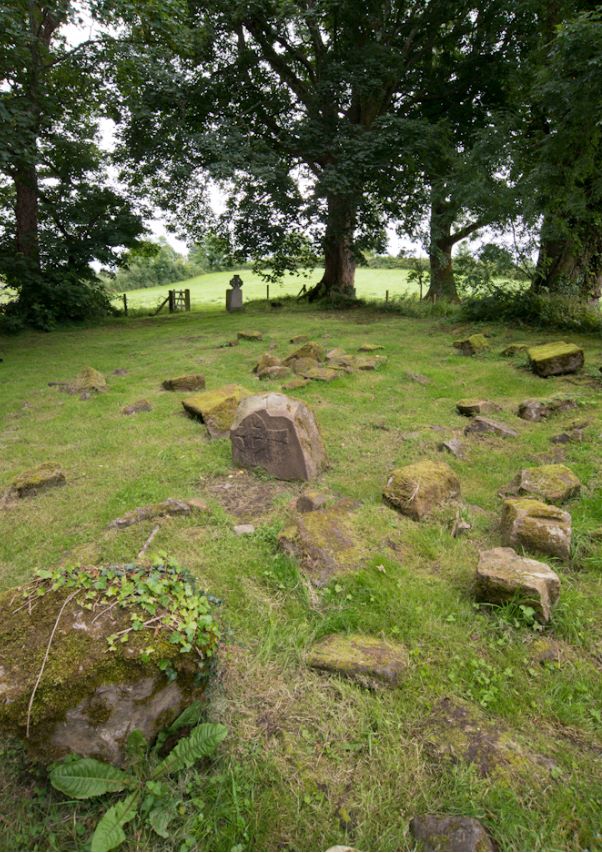 lorraineelizab6's tweet image. 12 Nov: St Sinell mac Míanaig of Cláeninis/#Cleenish Island, &quot;the sloping island&quot;, Lough Erne, #Fermanagh. 6th C. Disciple of St Finnian of Clonard; 1 of 12 Apostles of Ireland. In turn tutored St Columbanus (went to Europe) who wrote commentary on Psalms there (uncertain)?!