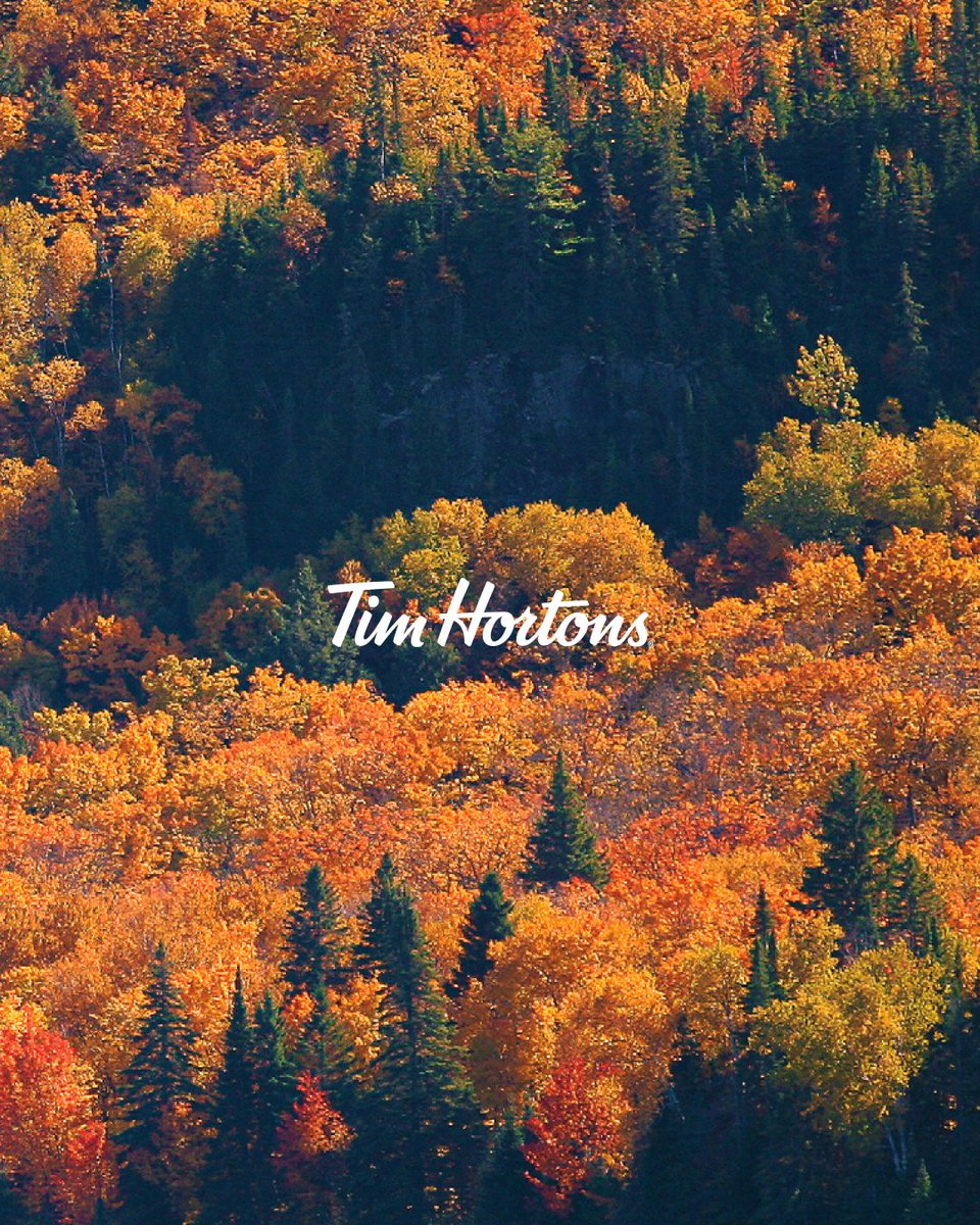 timhortons_kr's tweet image. 가을의 끝자락, 햇살이 스며든 순간
붉게 물든 캐나다의 오후.
⠀
팀홀튼도 캐나다의 가을처럼
따뜻한 온기를 더해갑니다.🍁
⠀
캐나다의 가을, 지금 팀홀튼에서 만나보세요.
⠀
#timhortons
#팀홀튼
#alwaysfresh
