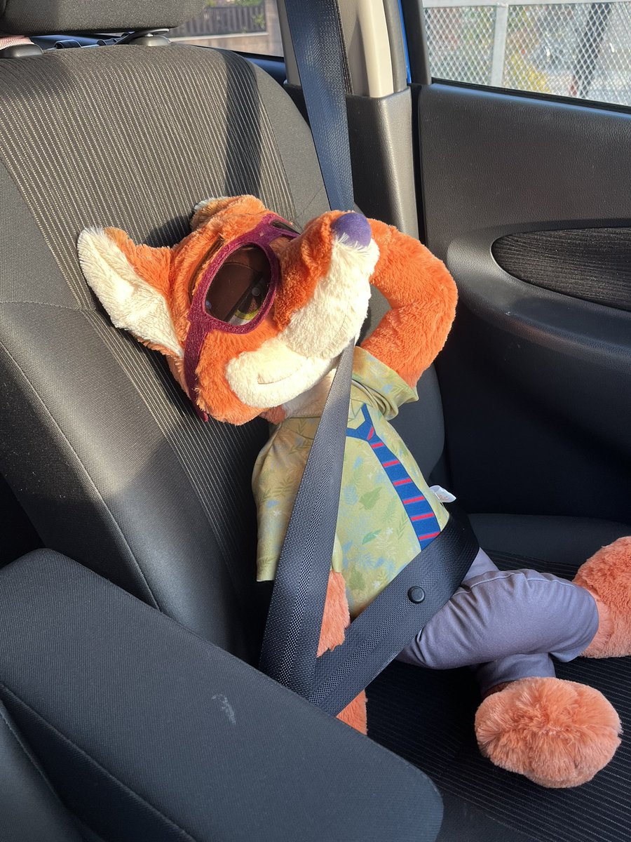 眩しいねごめんね