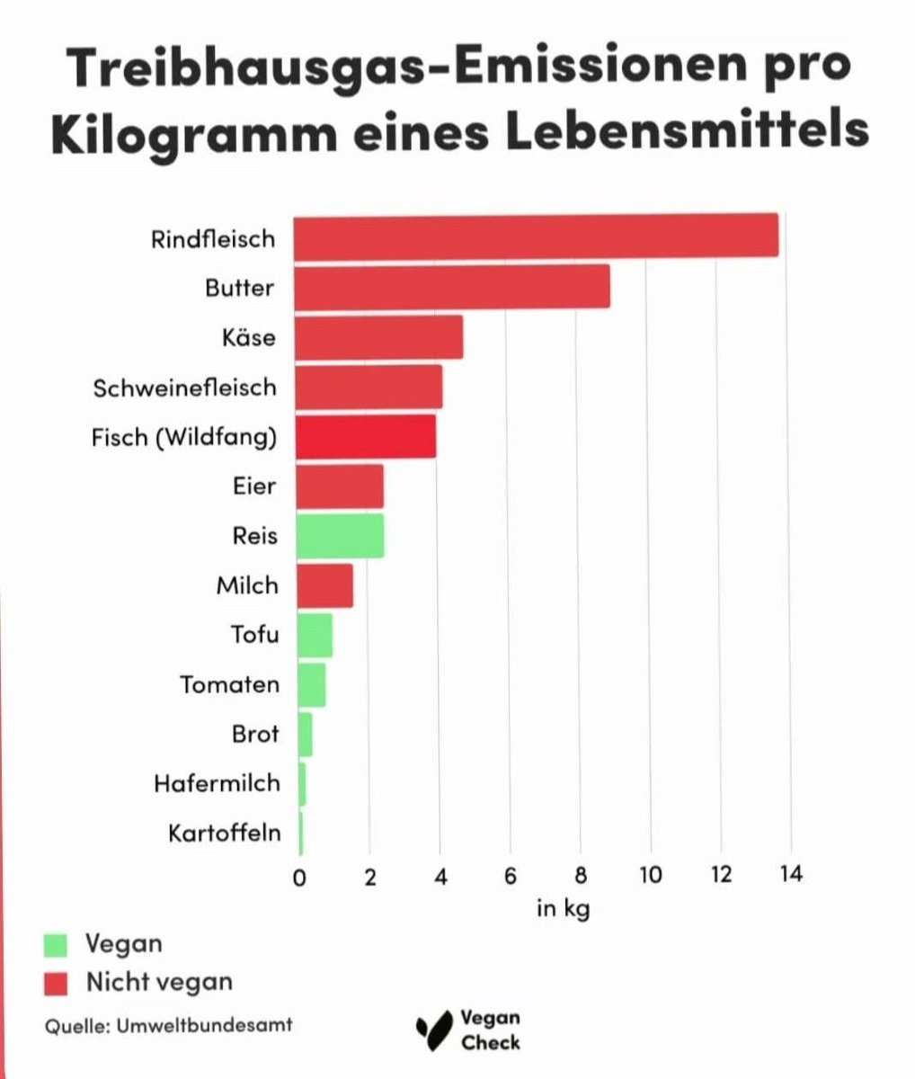 Stefan Krauter tweet media