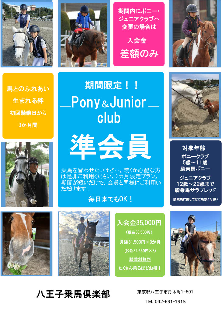 騎乗回数券4枚 【公式通販】 八王子乗馬倶楽部 騎乗回数券 8枚
