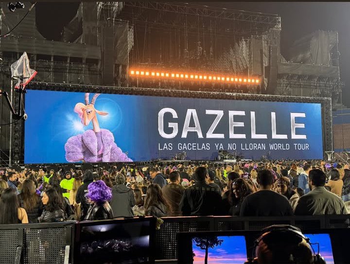 Quiero ir al Las Gacelas Ya no Lloran WT ❤️