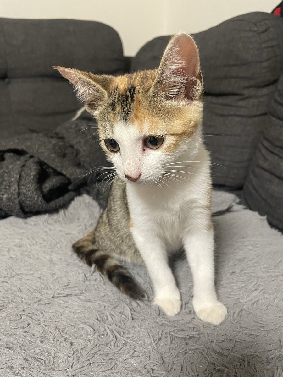 M~えむ~ (@m84emu) / Posts / X