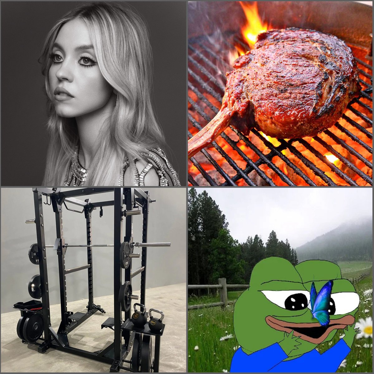 Men only need 4 things in life