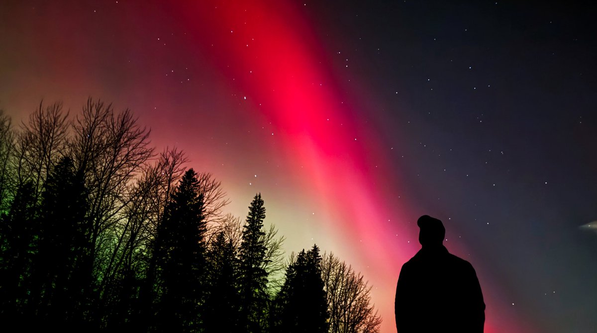 Elk Island tonight 👌