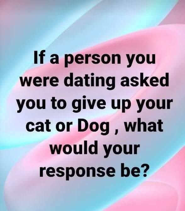 Sadie_NC's tweet image. They would be watching the door closing in their face, and me snuggling with my puppies..