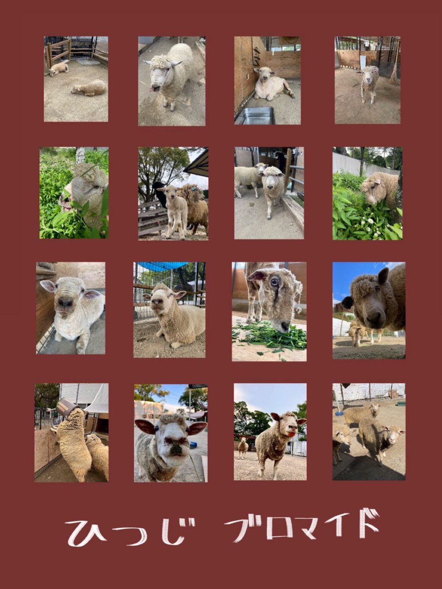 11月16日のおさんぽマルシェinKUREPAに出店いたします！ 今回は