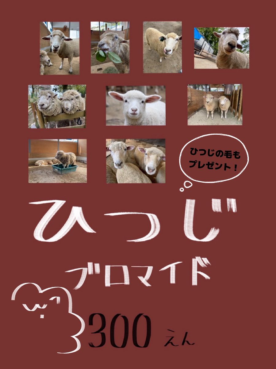 11月16日のおさんぽマルシェinKUREPAに出店いたします！ 今回は