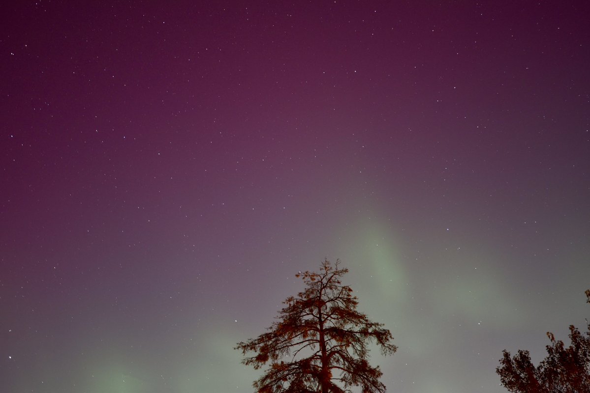 deepspaceduda's tweet image. Never ceases to amaze me how many incredible things we can witness in our own backyard. Thanks for this one, Sun!☀️

#Auroraborealis #northernlights #COwx @BianchiWeather