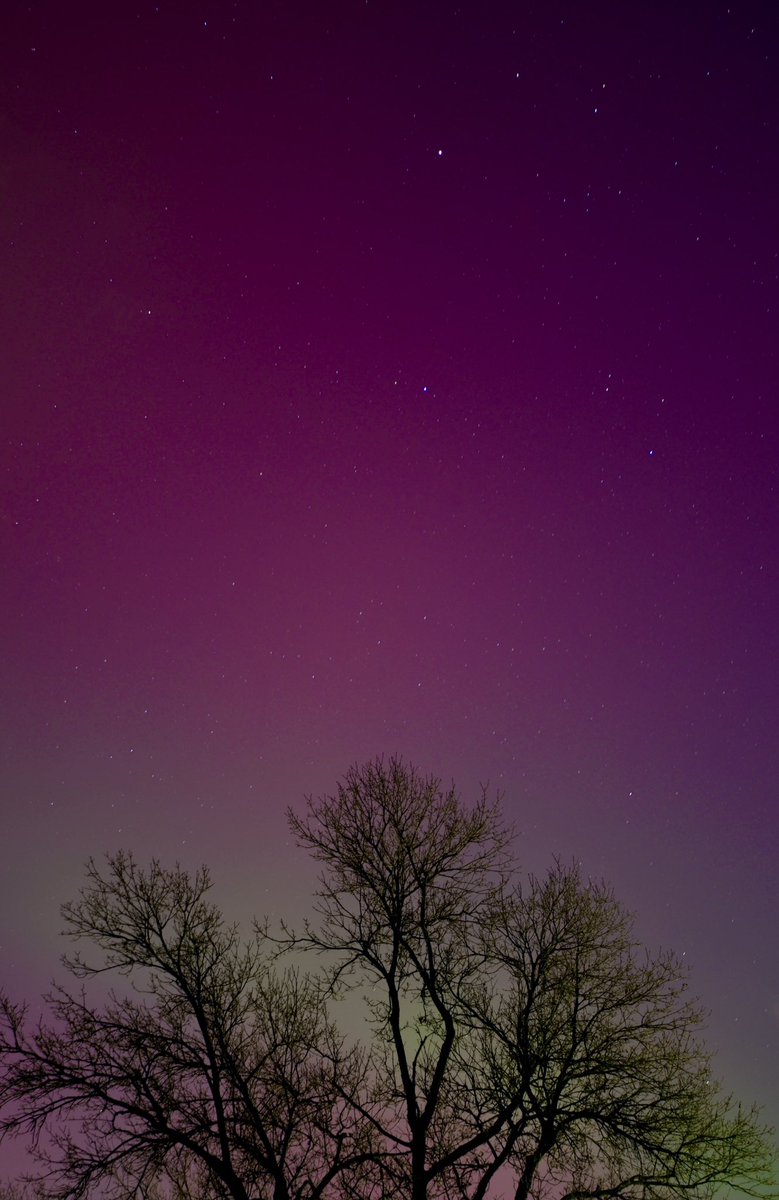 deepspaceduda's tweet image. Never ceases to amaze me how many incredible things we can witness in our own backyard. Thanks for this one, Sun!☀️

#Auroraborealis #northernlights #COwx @BianchiWeather