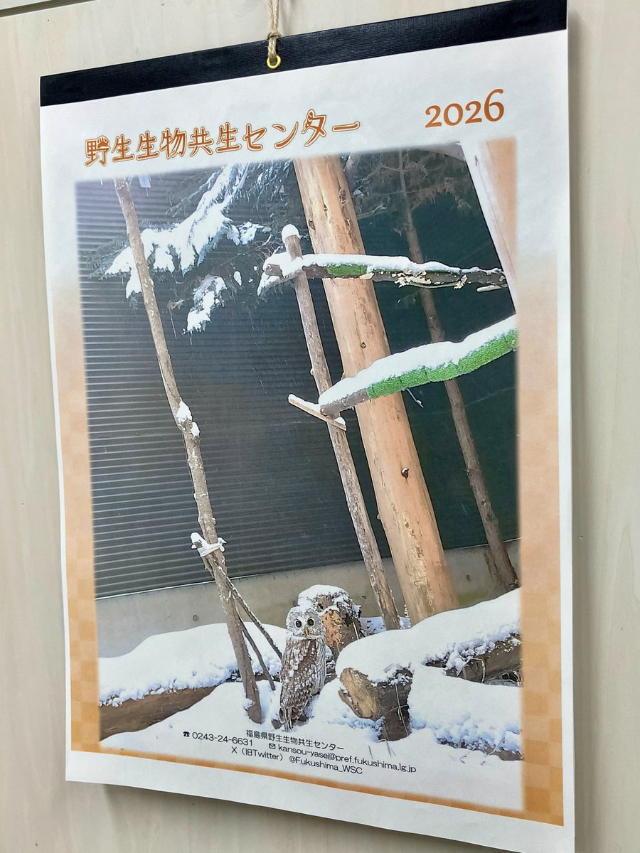 でじ🌾田んぼとシャジクモ (@flagellifera) / Highlights / X