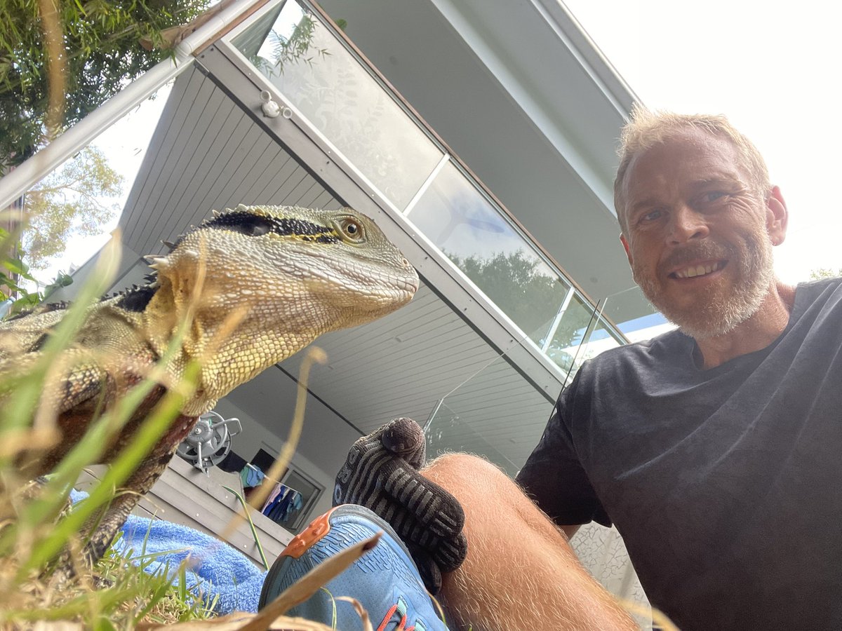 Doggo continues to excel in his training.