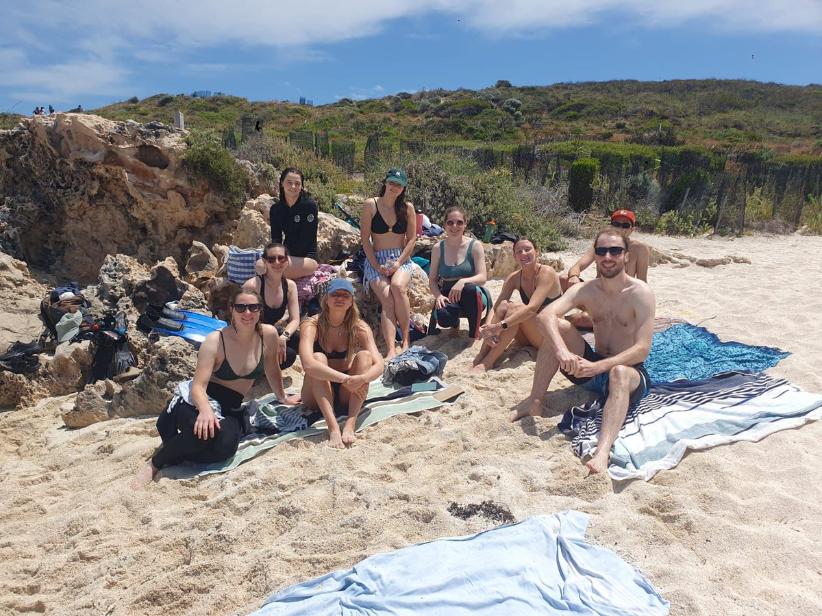 ARC Centre of Excellence in Synthetic Biology tweet media