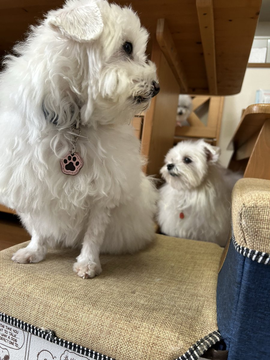 ハルくん (@9Z8lquSv8B3FMpN) / Posts / X