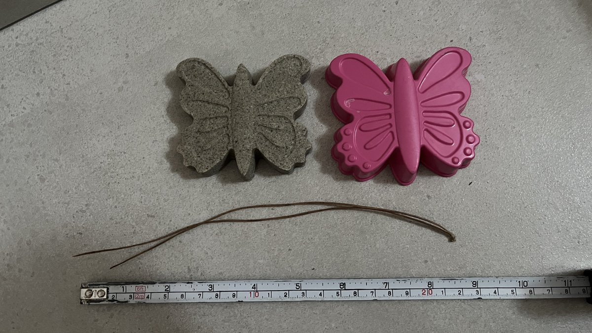 Great minds think alike.

Yesterday I went to the local university’s botanical garden to see STONE PINE with my own eyes, and possibly, steal some to burn it and check its ash.

It’s an amazing conifer with giant, 20 cm long needles which I could collect and will burn later. Why?