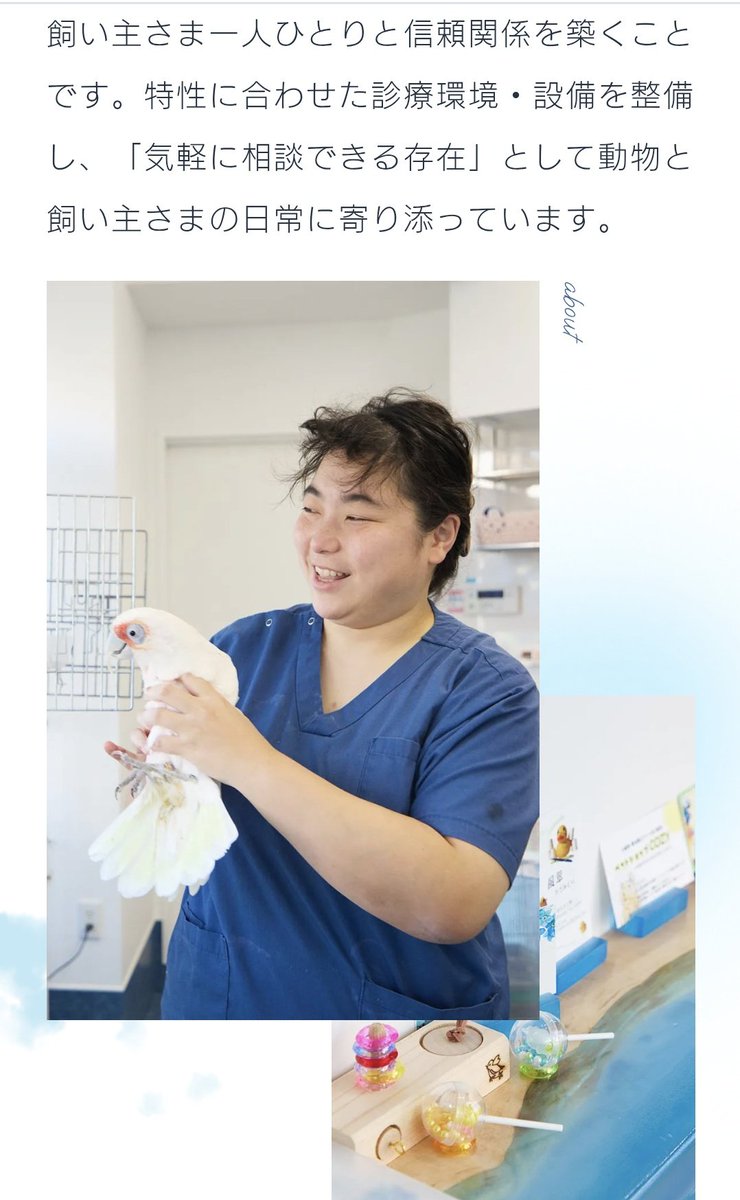 kibatanking's tweet image. 獣医師募集のページの写真、起きて30秒で支度したワイの写真まじで見て