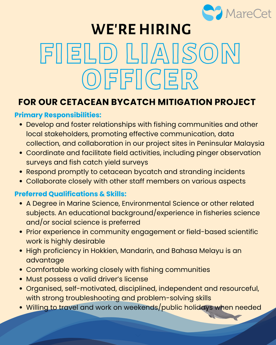 MareCet Research and Conservation tweet media