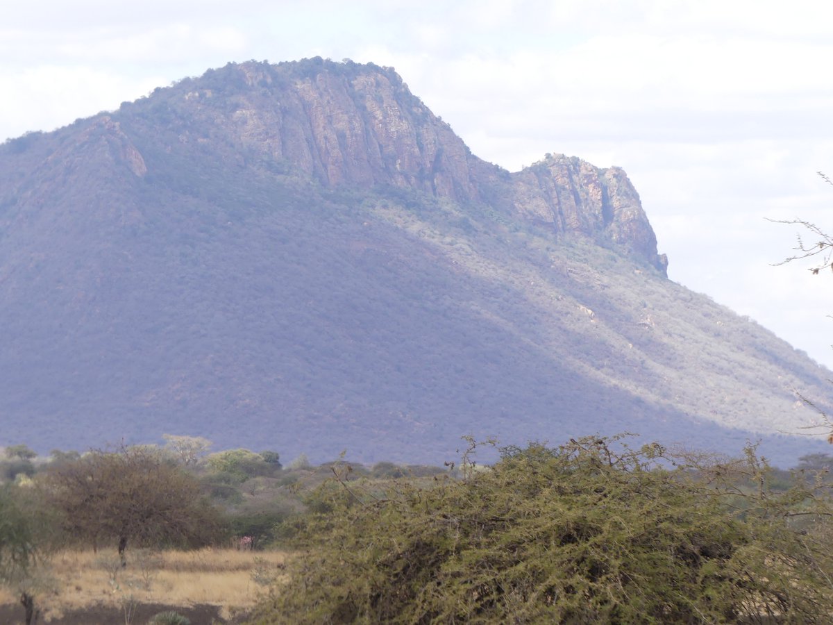 PhotosForTrees's tweet image. Sights of Southern Kenya 

#kajiado