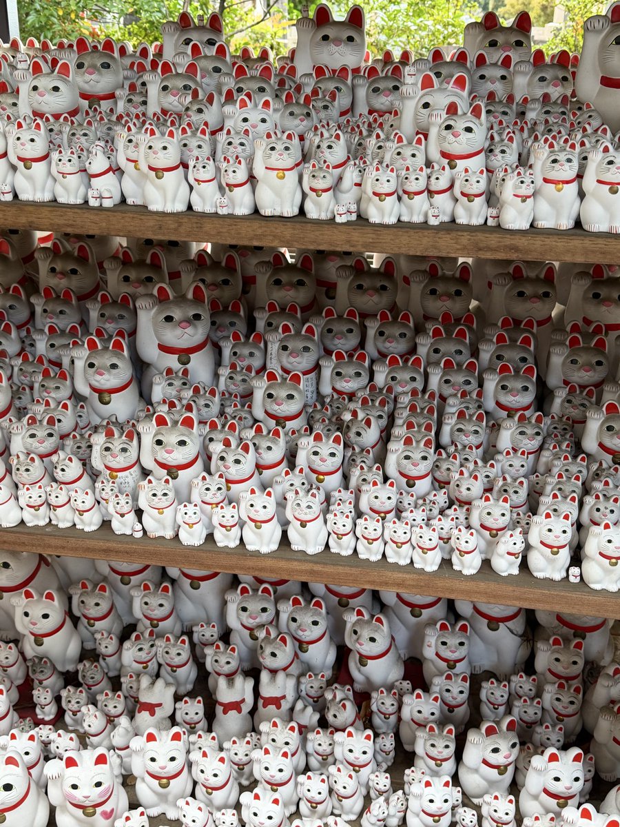 derutomo️️️🫱👀🫲🍋💛✨️🌼🐝࿆🐥⸒⸒🐤 (@derutomo) / Posts / X