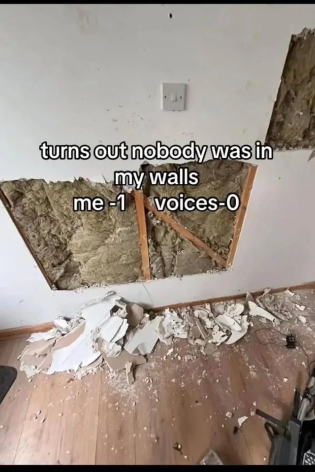 🕐HOURLY🕑 shitpost (@hourly_shitpost) on Twitter photo 