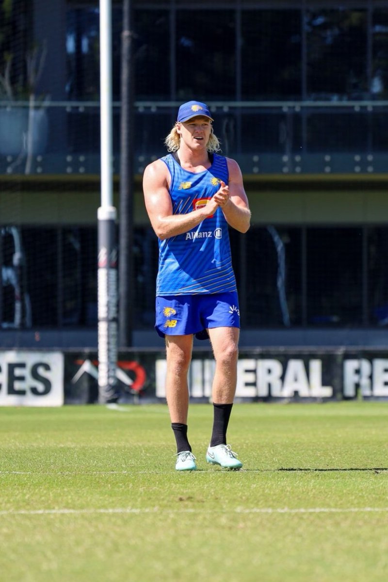 jobe shanahan may actually be an f@#king god tweet media