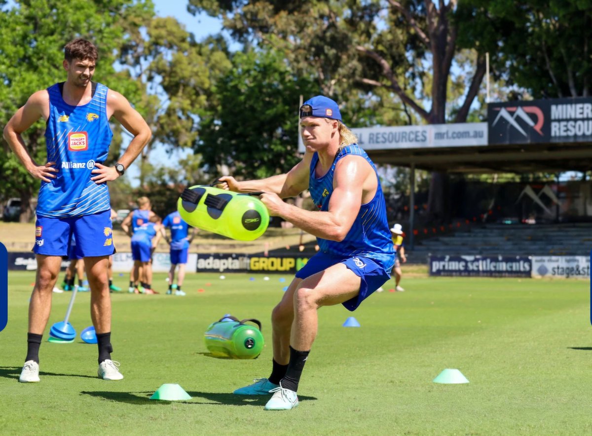 jobe shanahan may actually be an f@#king god tweet media