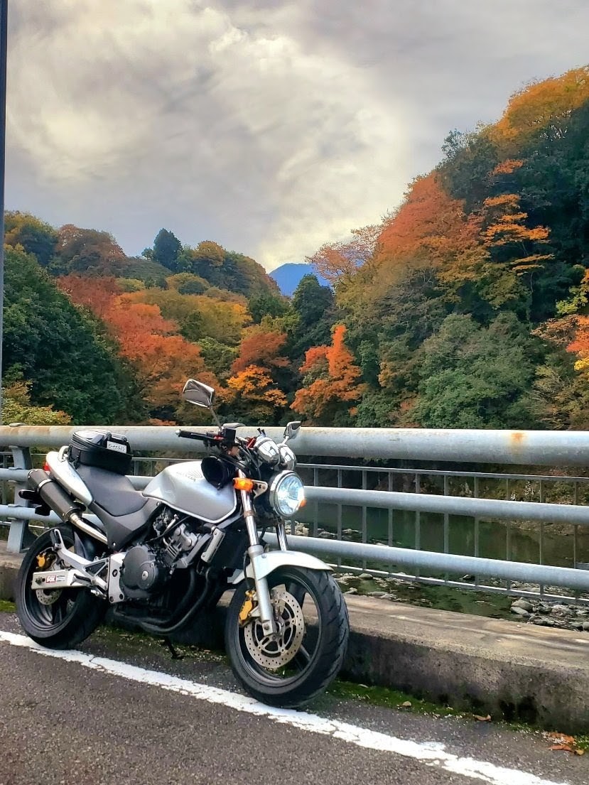 MsLABO6's tweet image. 綺麗な秋でした🍁🍂
バイクも道も快調！
#ホーネット250 #道志みち