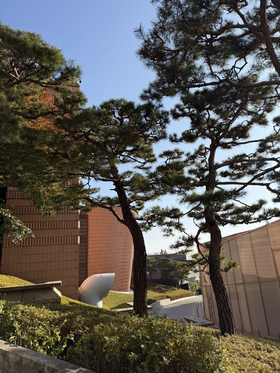 10년 된 내 차는 고장 나서 수리 맡기고 오랜만에 걸어서 출근했는데 너무 좋은 가을이었다