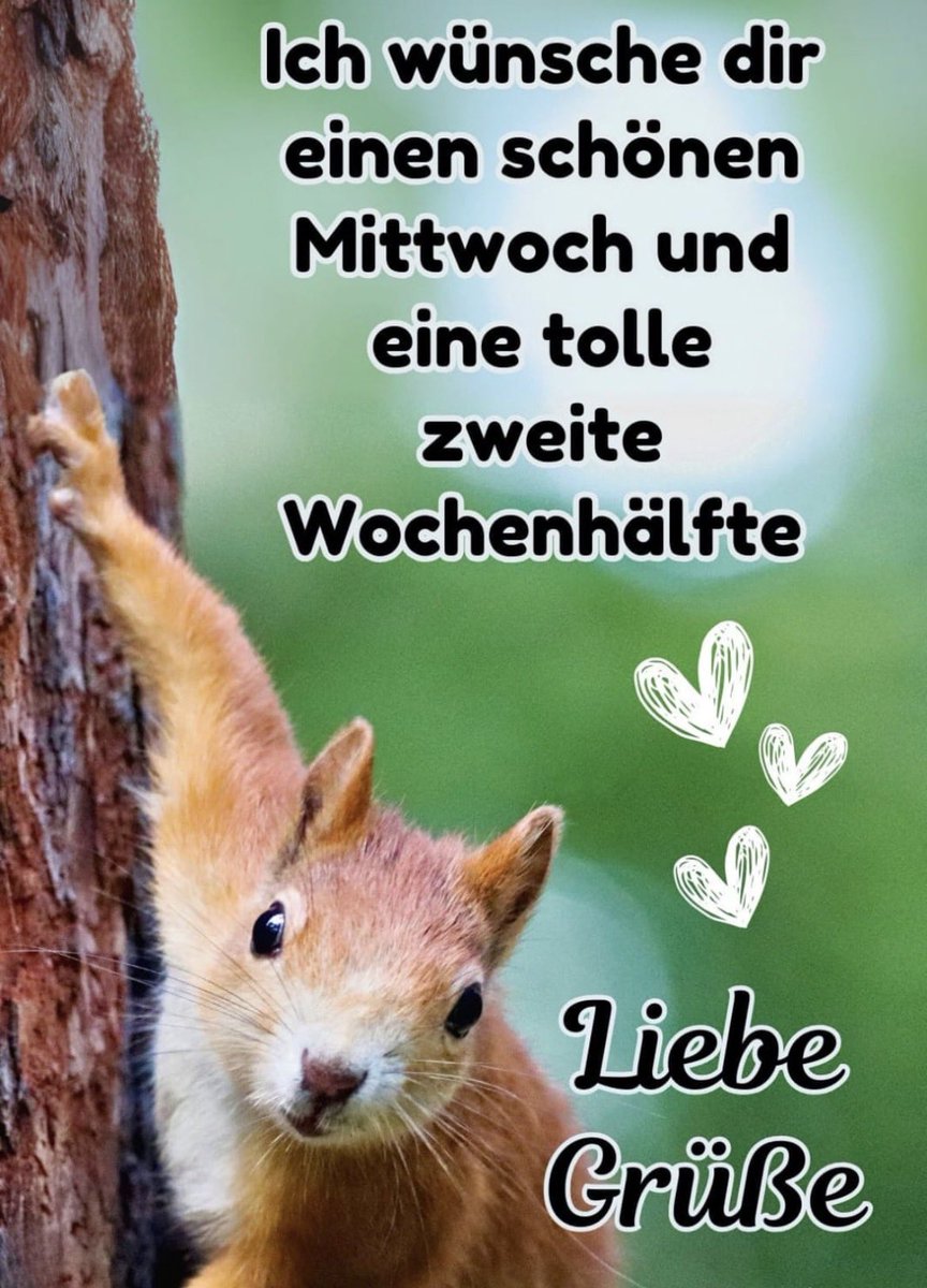 stefans riesling (@nicksvb) on Twitter photo 