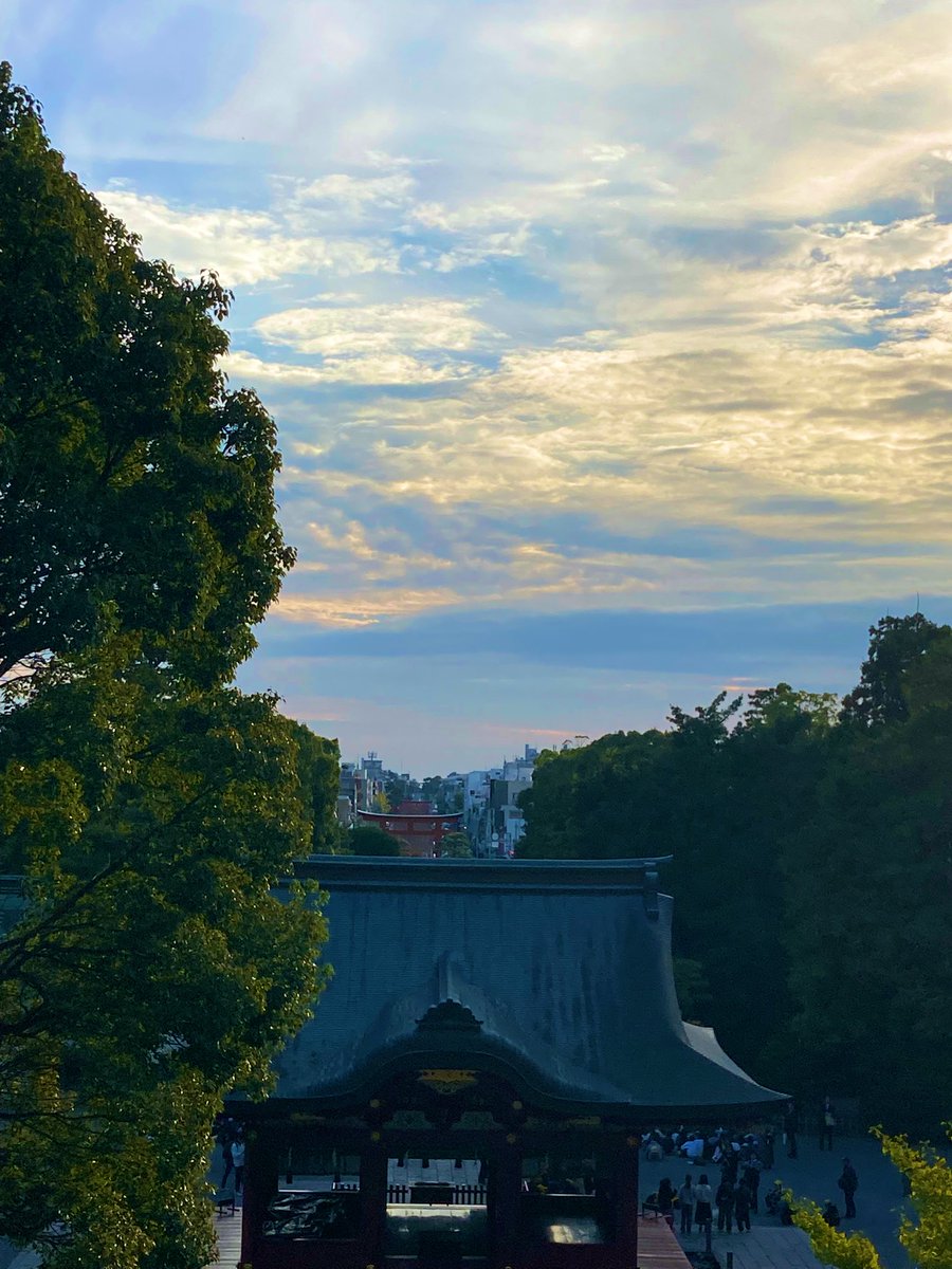 ギズモちゃん on X