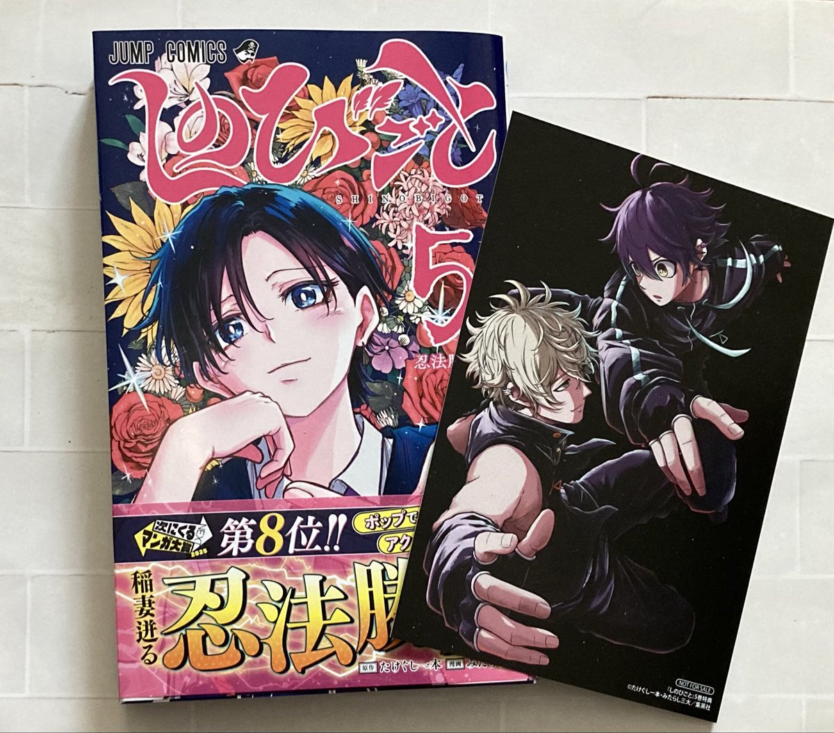 ❀ひろっぺ❀ セグフィックスストレッチャー用ベルト ストレッチャー用ベルト 24