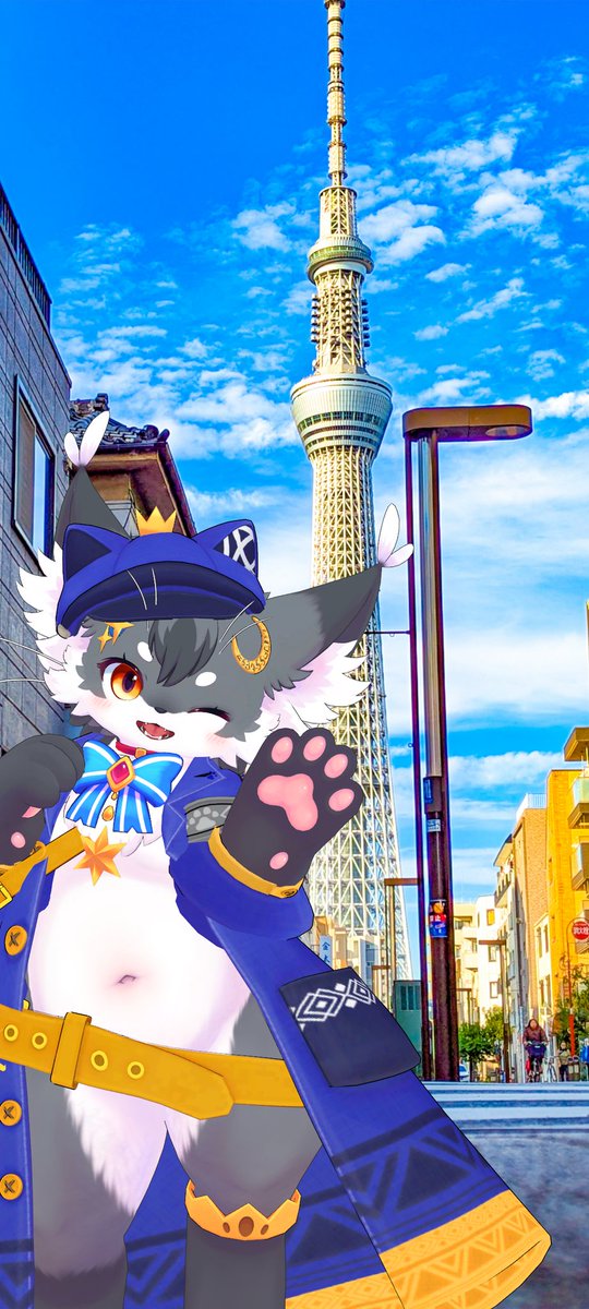 こねこのるぅ@旅・食・遊びのアイドルニャンコ▷Vketアンバサダー二