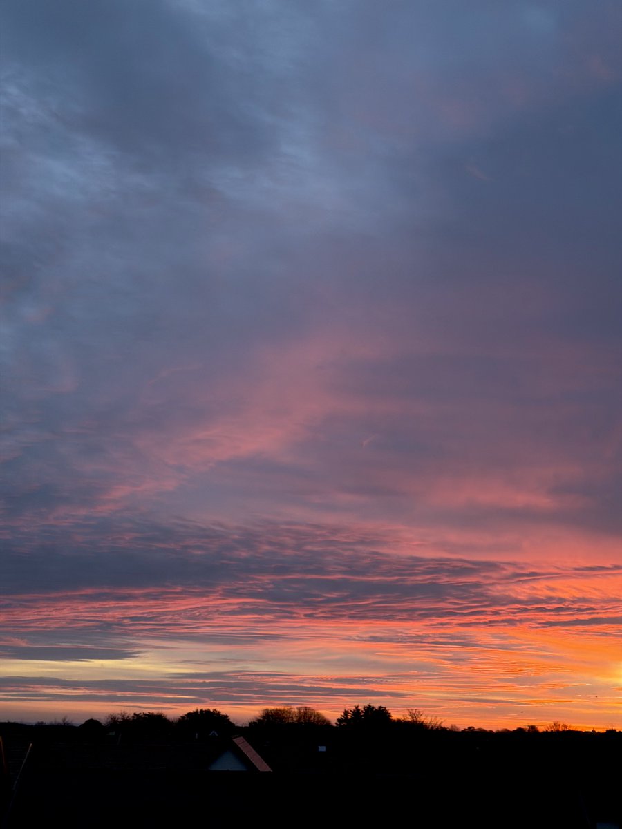 Kelly 👱🏻‍♀️🌊🔆 tweet media