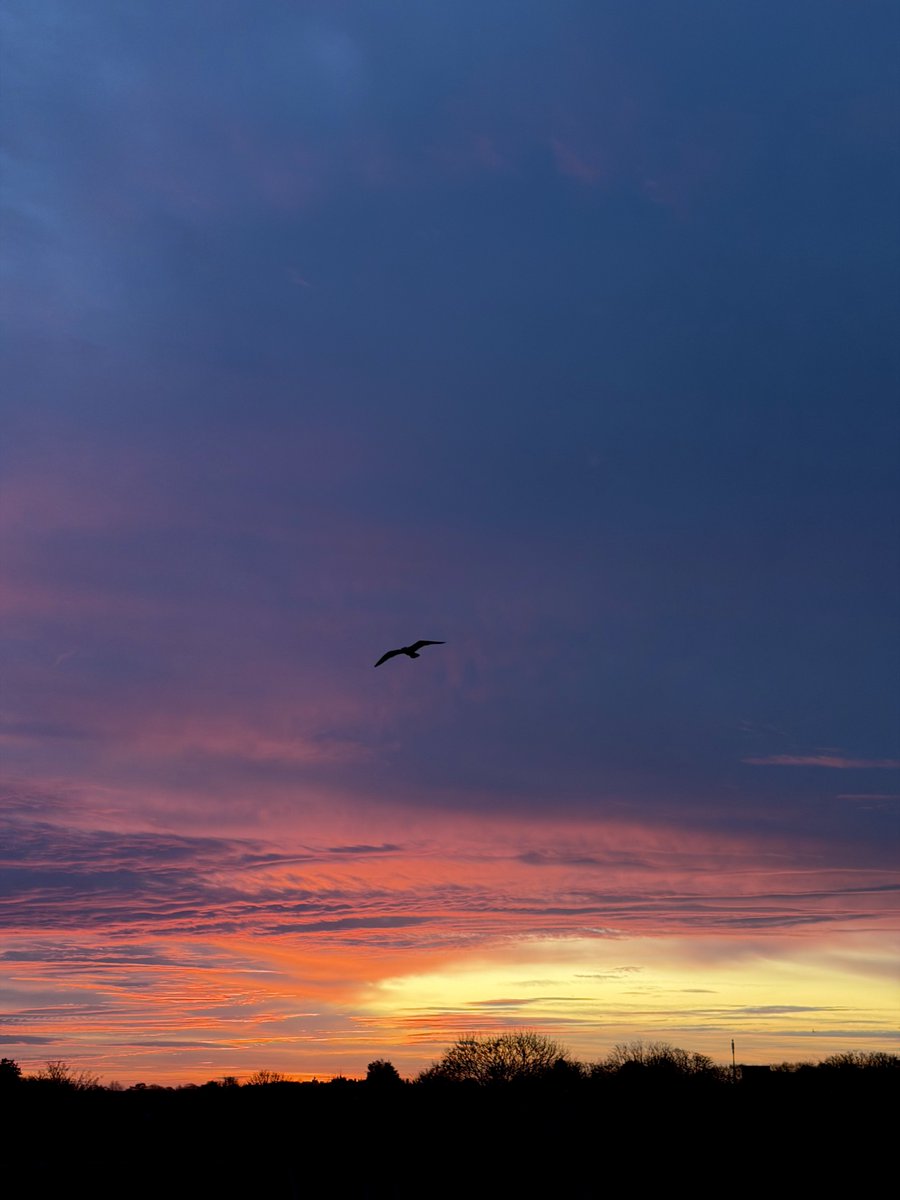 Kelly 👱🏻‍♀️🌊🔆 tweet media