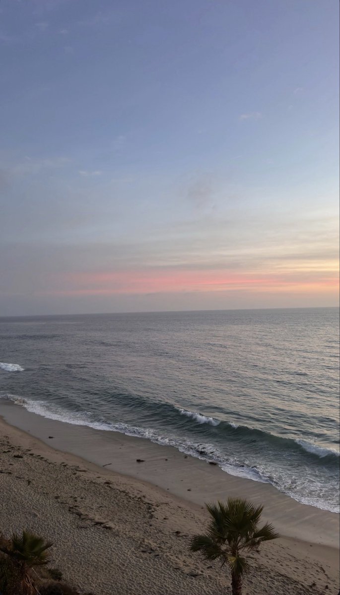 1YungFilly's tweet photo. wow Gods creation. https://t.co/2UB43hwyfO