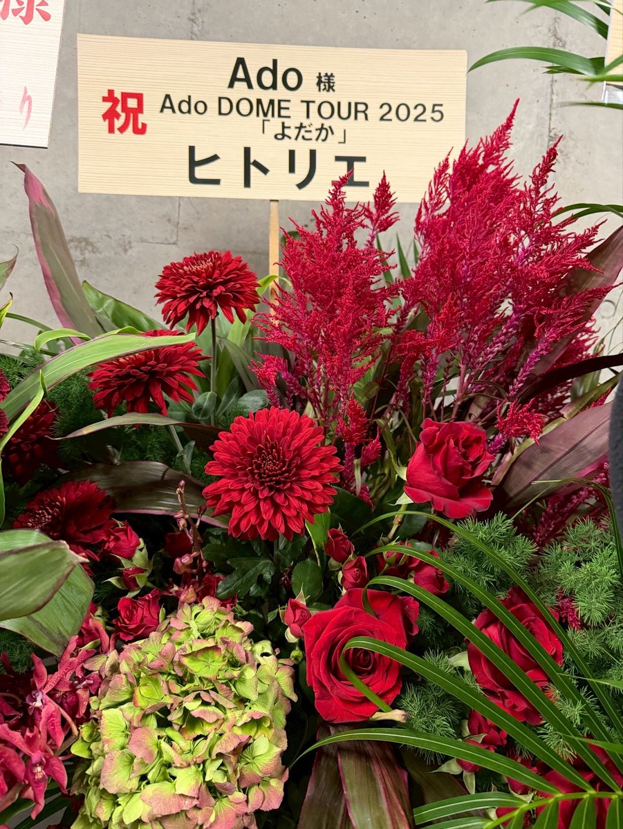 Ado DOME TOUR 2025「よだか」
本日は東京ドーム2日目
ありがとうございます

7/16