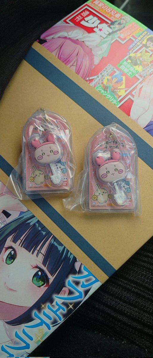 ゴンタくん ゴンタ様専用 ゴンタくんさん