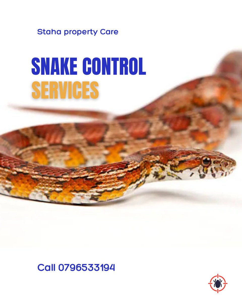 StahaProperty's tweet image. Believe it or not, cleanliness is your #1 defense against snakes.
Snakes follow rodents — and rodents follow clutter. 
So if you reduce one, you automatically reduce the other.
stahapropertycare.co.ke/snake-control.…
#SnakeControlKenya #StahaPropertyCare