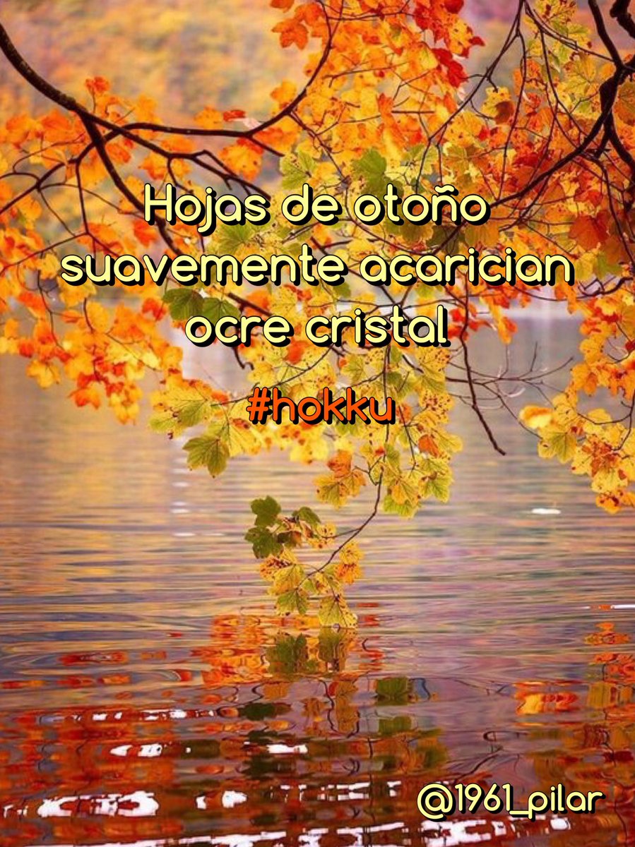 Un nuevo amanecer ¡Buenos días!

Hojas de otoño...

~hokku~

#LYF15  #VAFlorDePiel