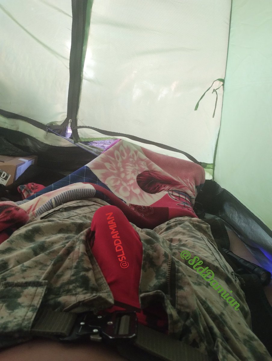 Sld. Damian tweet media