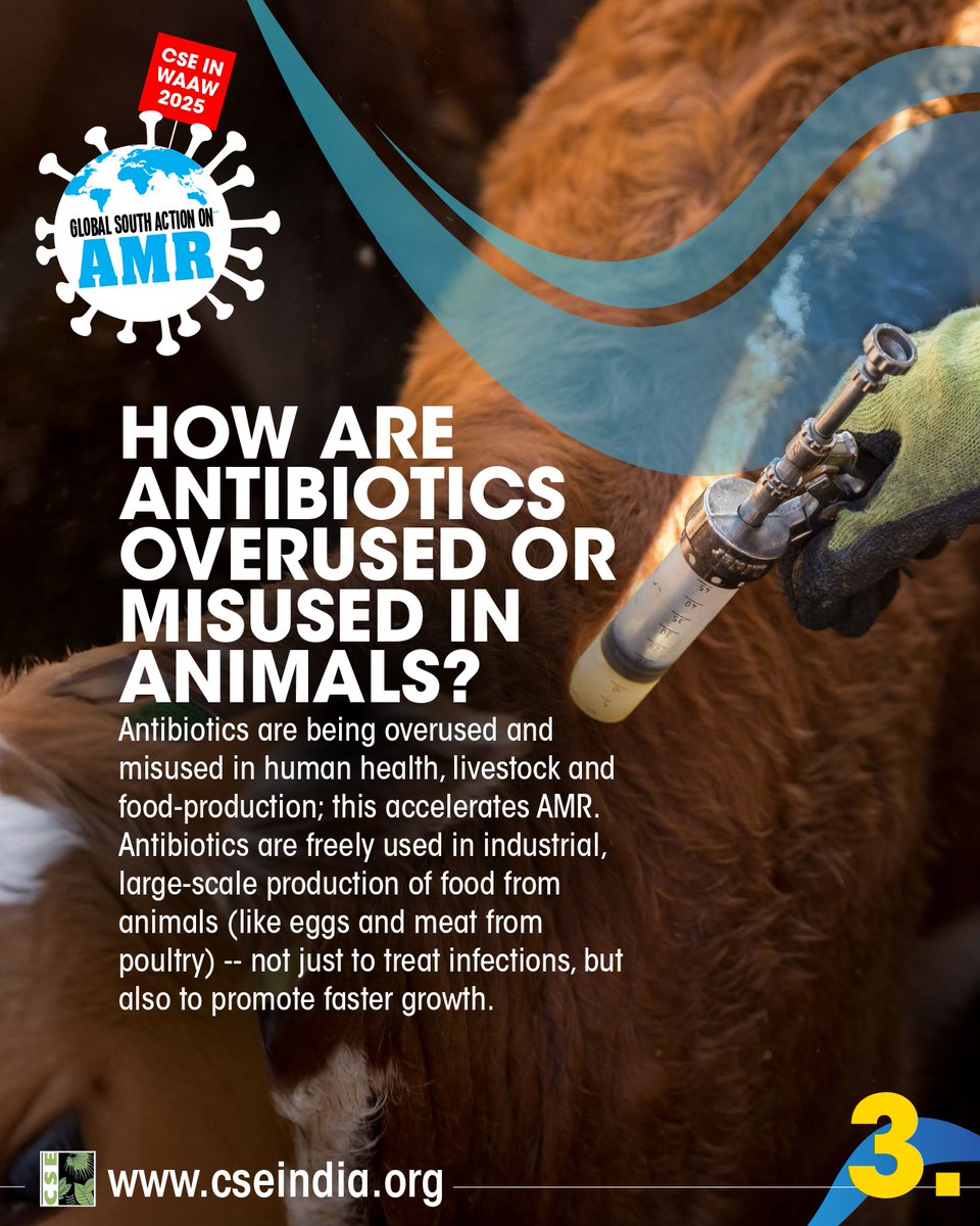 CSEINDIA's tweet image. World AMR Awareness Week is around the corner! 

Every November, there&apos;s a buzz around AMR, antibiotics, the “silent pandemic”...but what exactly is antimicrobial resistance, and why does it matter? 

We’ve made it simple for you! To kick off our #WorldAMRAwarenessWeek (WAAW)…