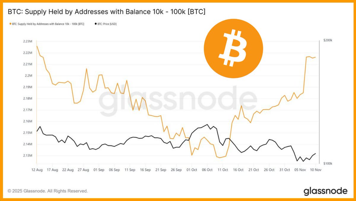 BITCOIN WHALES ARE BUYING 📈 After the recent price drop, wallets holding  10K-100K BTC added nearly 88,000 Bitcoin