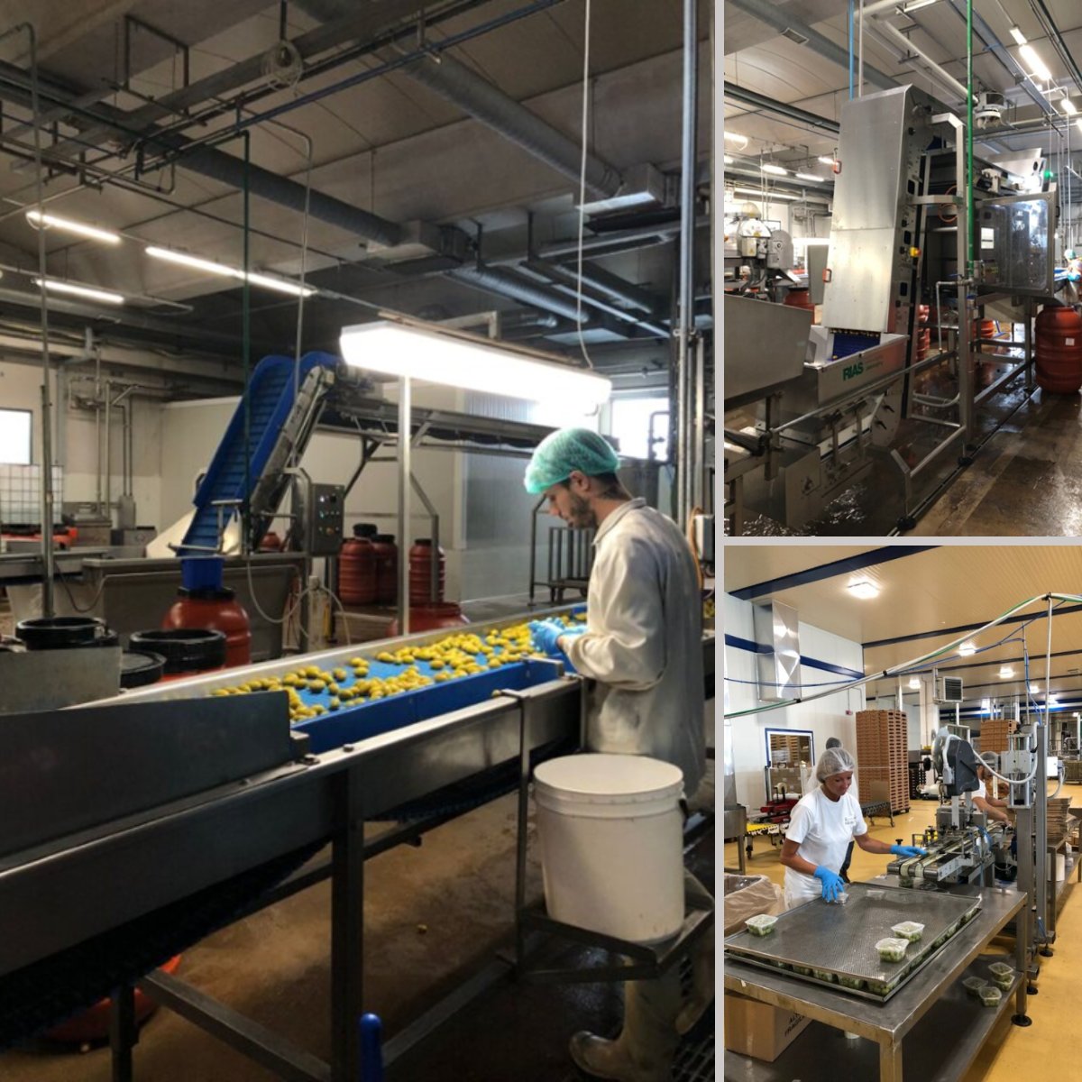 One4allProject's tweet photo. The new ONE4ALL #pressrelease is out! 🚀 Updates from the demonstrators, a #scientificpublication on DT validation, and a key #milestone: entering the final year in 2026!

🔗 Read it here: https://t.co/LKx5h7iI6k

#euproject @EFFRA https://t.co/BymxGCROUZ