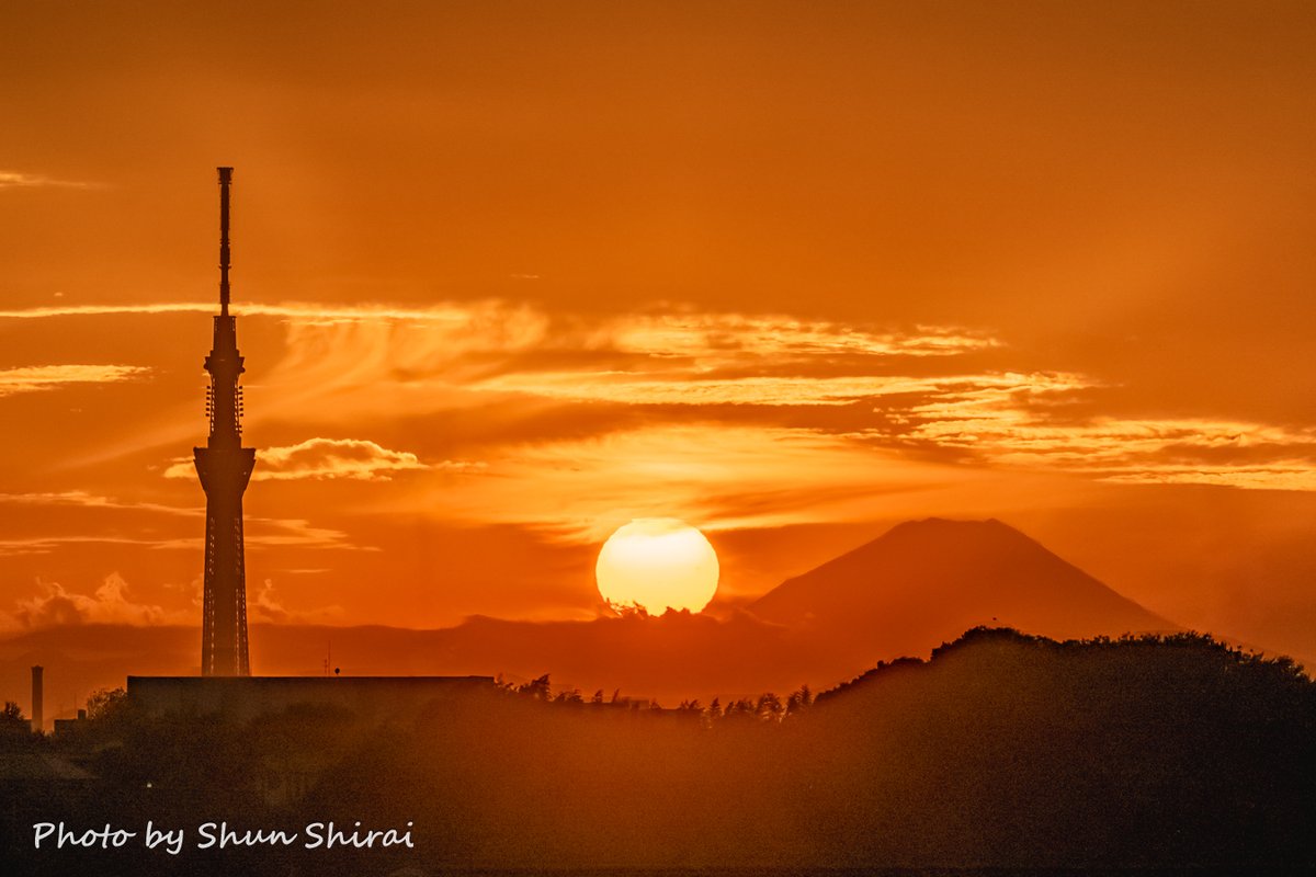 ShunShirai@市川松戸の街かどフォトグラファー✨11/8朝 NHK・おはよう