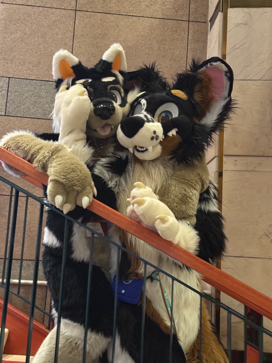 ウィーバーくんとBEANSくん
#kemocon18