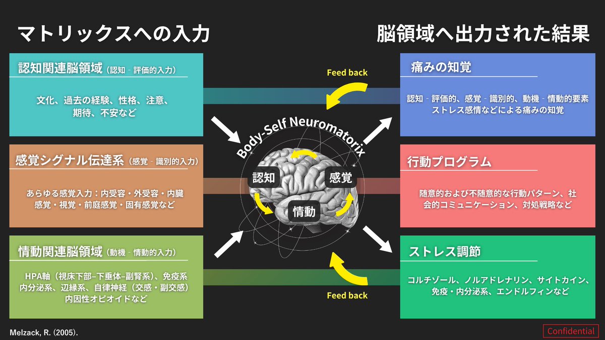 ニューロマトリクス理論】 痛みは末梢からの侵害刺激だけでなく、遺伝